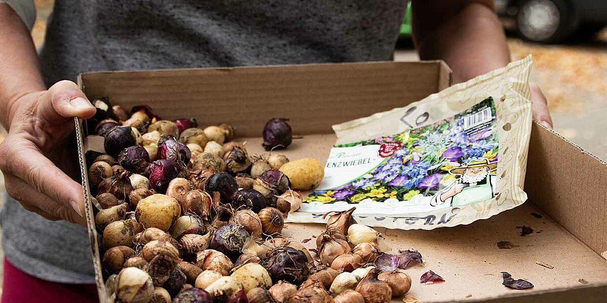 Wir werden grüner: compexx nachhaltiges Engagement